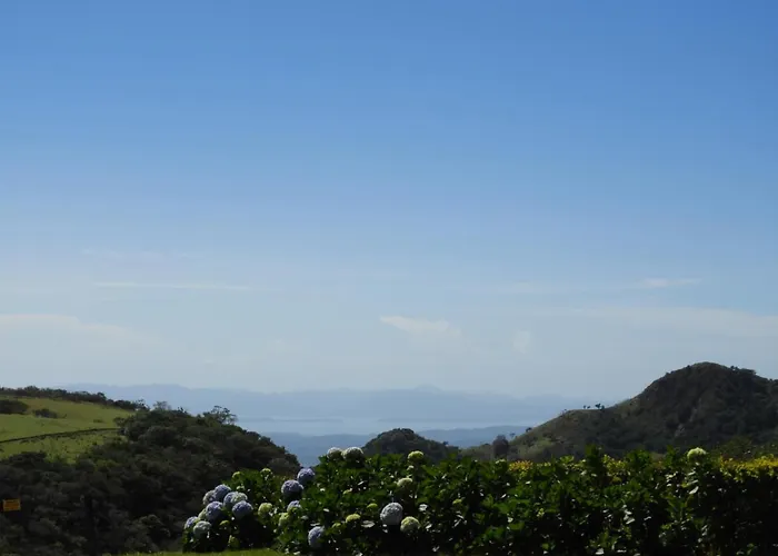 Campo Azul #3 - Monteverde