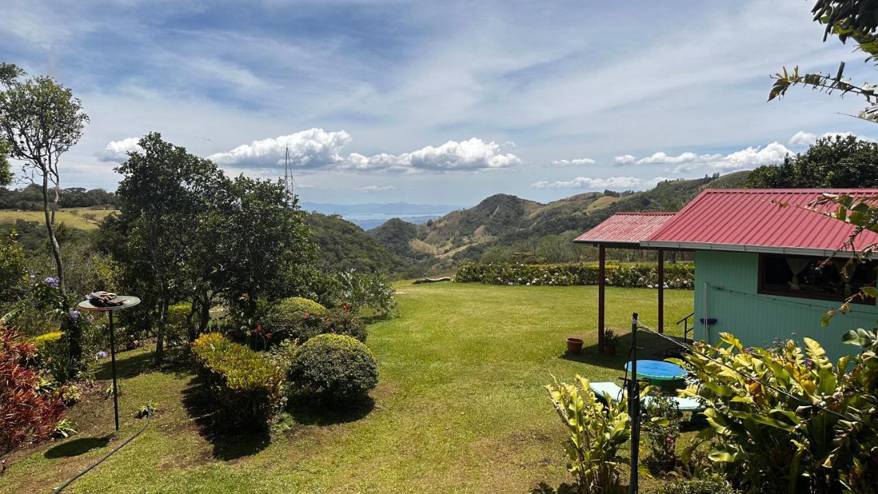 Campo Azul #3 - *