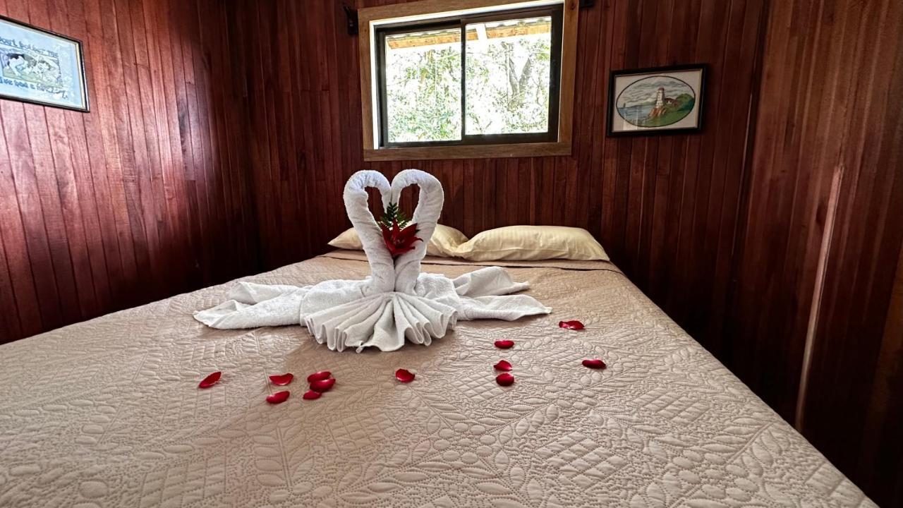 Apartment Campo Azul #3 - *